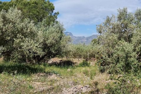 Finca i Els Reguers, Tarragona, Els Reguers - € 58.000 | Ref: Rej - foto 8