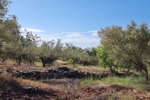 Finca i Els Reguers, Tarragona, Els Reguers - € 58.000 | Ref: Rej - foto 12