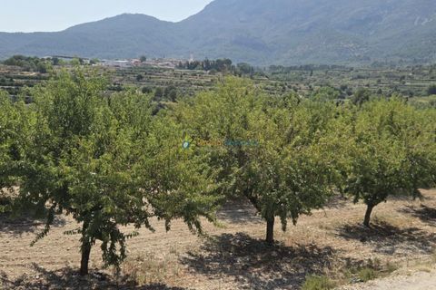 Landejendom i Belgida, Valencia, Belgida - € 50.000 | Ref: PNVL2138 - foto 14