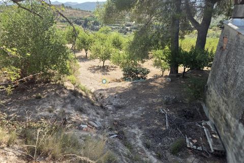 Landejendom i Belgida, Valencia, Belgida - € 50.000 | Ref: PNVL2138 - foto 18