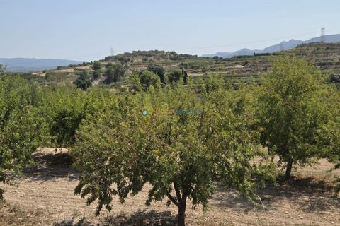 Landejendom i Belgida, Valencia, Belgida - € 50.000 | Ref: PNVL2138 - foto 15