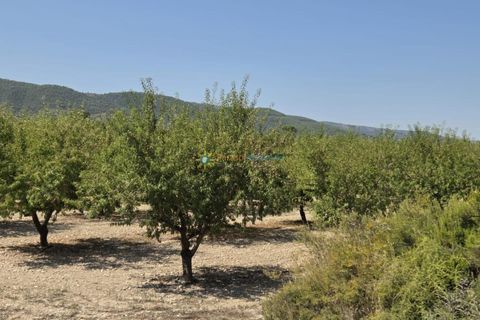 Landejendom i Belgida, Valencia, Belgida - € 50.000 | Ref: PNVL2138 - foto 13
