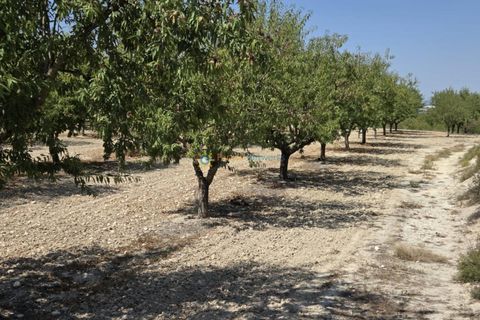 Landejendom i Belgida, Valencia, Belgida - € 50.000 | Ref: PNVL2138 - foto 16