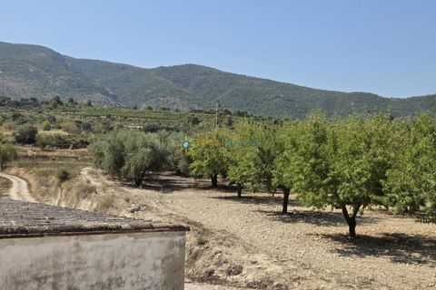 Landejendom i Belgida, Valencia, Belgida - € 50.000 | Ref: PNVL2138 - foto 12