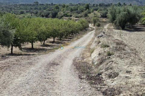 Landejendom i Belgida, Valencia, Belgida - € 50.000 | Ref: PNVL2138 - foto 20
