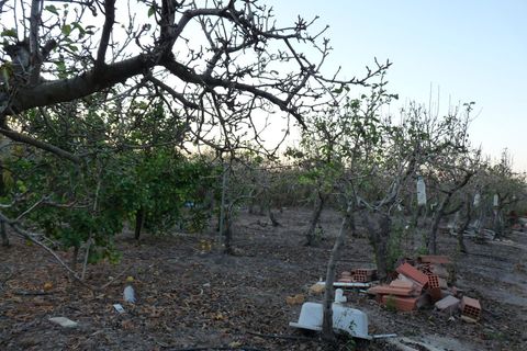Helårsgrund i Pego, Alicante, Pego - € 50.000 | Ref: PNPT0011 - foto 7