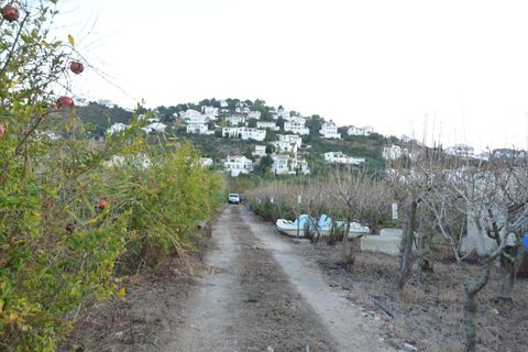 Helårsgrund i Pego, Alicante, Pego - € 50.000 | Ref: PNPT0011 - foto 16