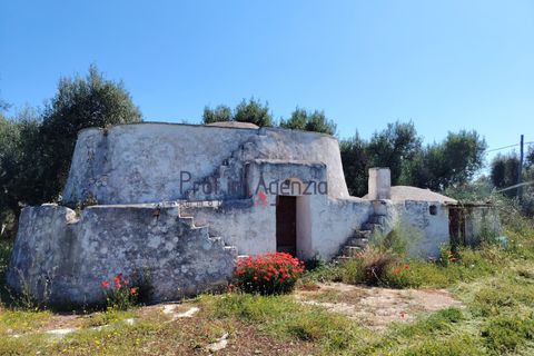 Landejendom i Ostuni, Brindisi, Ostuni - € 70.000 | Ref: 173005 - foto 2