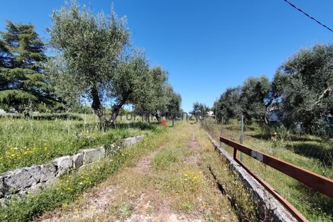 Landejendom i Ostuni, Brindisi, Ostuni - € 70.000 | Ref: 173005 - foto 10