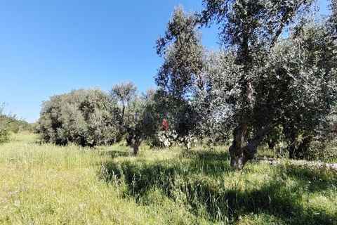 Landejendom i Ostuni, Brindisi, Ostuni - € 70.000 | Ref: 173005 - foto 9