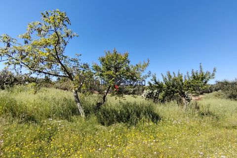 Landejendom i Ostuni, Brindisi, Ostuni - € 70.000 | Ref: 173005 - foto 11