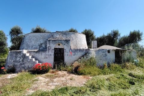 Landejendom i Ostuni, Brindisi, Ostuni - € 70.000 | Ref: 173005 - foto 1