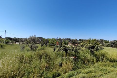 Landejendom i Ostuni, Brindisi, Ostuni - € 70.000 | Ref: 173005 - foto 8