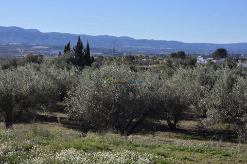 Tomt i Beniganim, Valencia, Beniganim - € 68 000 | Ref: PNPT292 - foto 6