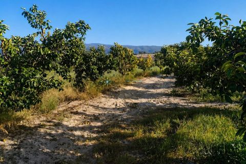 Villa a Albaida, Valencia, Albaida - € 100.000 | Ref: PNVL2088 - foto 18