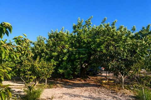 Villa a Albaida, Valencia, Albaida - € 100.000 | Ref: PNVL2088 - foto 17