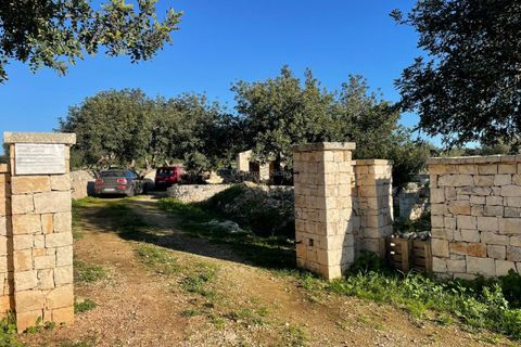 Villa a Scicli, Ragusa, Scicli - € 260.000 | Ref: V 85 - foto 16