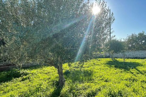 Villa a Scicli, Ragusa, Scicli - € 260.000 | Ref: V 85 - foto 24