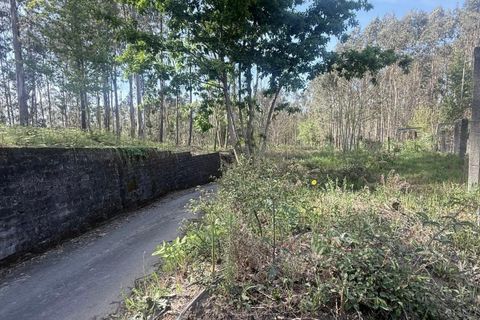 Helårsgrund i Ponte de Lima, Viana do Castelo, Ponte de Lima - € 28.900 | Ref: EAPA_293/11657 - foto 1