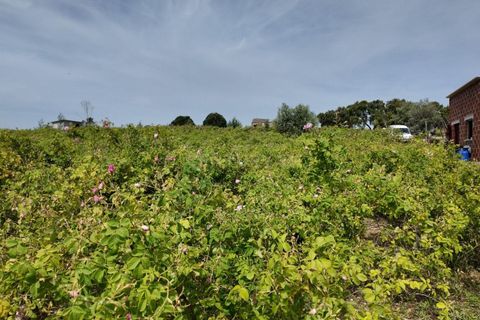 Helårsgrund i Escalos de Cima e Lousa, Castelo Branco, Escalos de Cima e Lousa - € 650.000 | Ref: C0434-01271 - foto 12