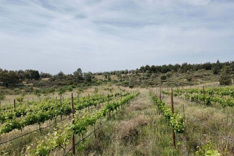 Helårsgrund i Escalos de Cima e Lousa, Castelo Branco, Escalos de Cima e Lousa - € 650.000 | Ref: C0434-01271 - foto 14