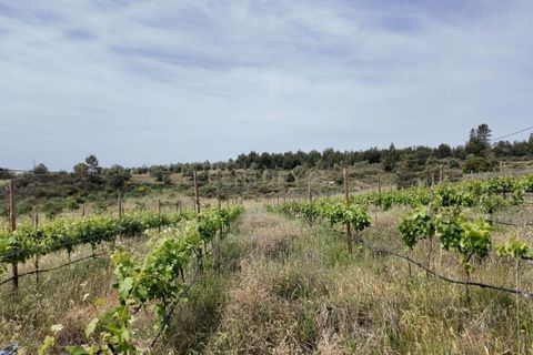 Helårsgrund i Escalos de Cima e Lousa, Castelo Branco, Escalos de Cima e Lousa - € 650.000 | Ref: C0434-01271 - foto 17