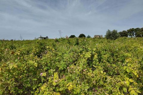 Helårsgrund i Escalos de Cima e Lousa, Castelo Branco, Escalos de Cima e Lousa - € 650.000 | Ref: C0434-01271 - foto 18
