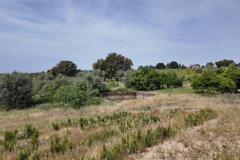 Helårsgrund i Escalos de Cima e Lousa, Castelo Branco, Escalos de Cima e Lousa - € 650.000 | Ref: C0434-01271 - foto 26