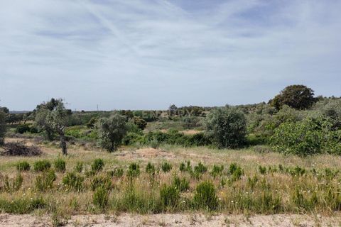 Helårsgrund i Escalos de Cima e Lousa, Castelo Branco, Escalos de Cima e Lousa - € 650.000 | Ref: C0434-01271 - foto 28