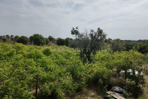 Helårsgrund i Escalos de Cima e Lousa, Castelo Branco, Escalos de Cima e Lousa - € 650.000 | Ref: C0434-01271 - foto 30