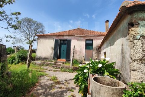 Villa a Formariz e Ferreira, Viana do Castelo, Formariz e Ferreira - € 125.000 | Ref: UNU-F1-08-25 - foto 2