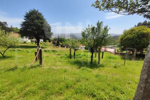 Villa a Formariz e Ferreira, Viana do Castelo, Formariz e Ferreira - € 125.000 | Ref: UNU-F1-08-25 - foto 19