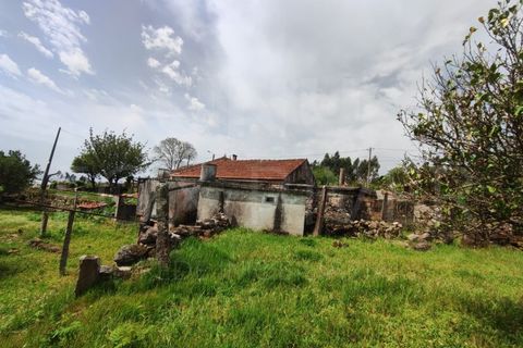 Villa a Formariz e Ferreira, Viana do Castelo, Formariz e Ferreira - € 125.000 | Ref: UNU-F1-08-25 - foto 15