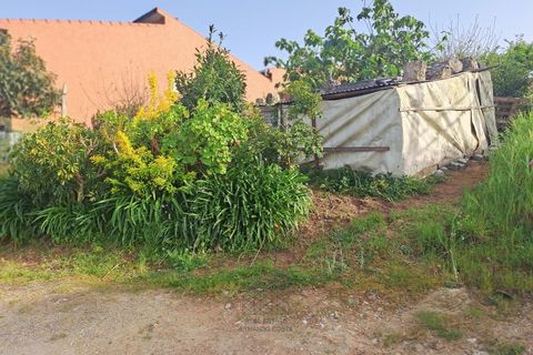 Helårsgrund i Espinho, Aveiro, Espinho - € 50.000 | Ref: TER_114.Mi.003 - foto 3