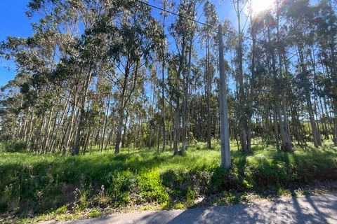 Tomt i Vidais, Leiria, Vidais - € 110 000 | Ref: MO00-1-26 - foto 2