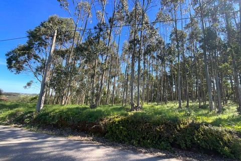 Tomt i Vidais, Leiria, Vidais - € 110 000 | Ref: MO00-1-26 - foto 3