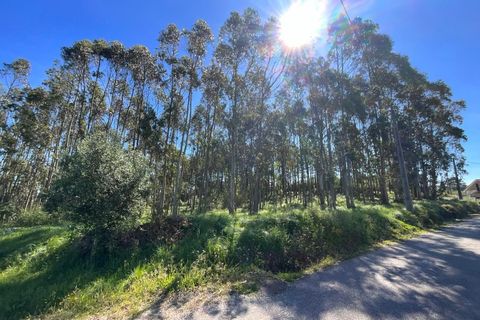 Tomt i Vidais, Leiria, Vidais - € 110 000 | Ref: MO00-1-26 - foto 4