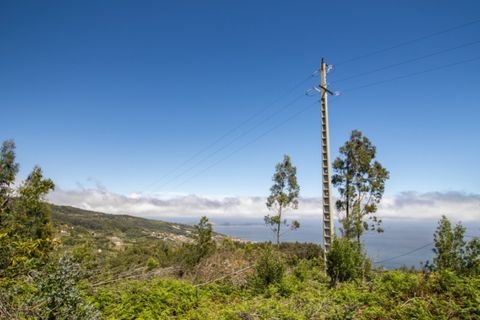 Terra a Gaula, Madeira, Gaula - € 75.000 | Ref: C0216-03327 - foto 2