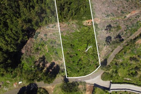 Terra a Gaula, Madeira, Gaula - € 75.000 | Ref: C0216-03327 - foto 3