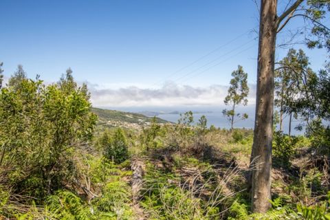 Terra a Gaula, Madeira, Gaula - € 75.000 | Ref: C0216-03327 - foto 4