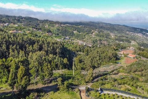 Terra a Gaula, Madeira, Gaula - € 75.000 | Ref: C0216-03327 - foto 5