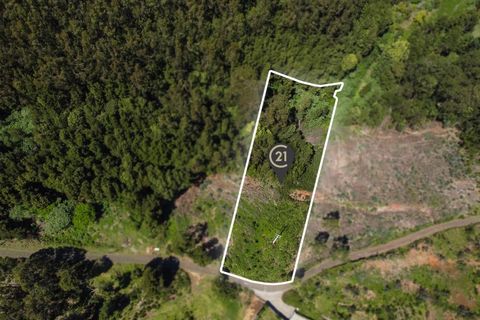 Terra a Gaula, Madeira, Gaula - € 75.000 | Ref: C0216-03327 - foto 6