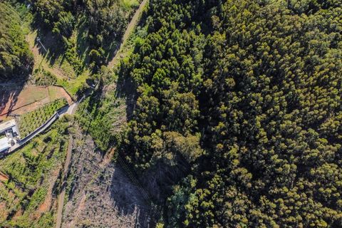Terra a Gaula, Madeira, Gaula - € 75.000 | Ref: C0216-03327 - foto 7