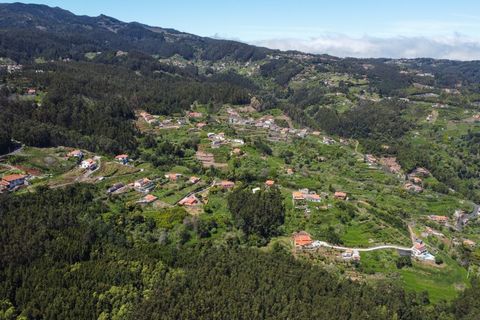 Terra a Gaula, Madeira, Gaula - € 75.000 | Ref: C0216-03327 - foto 8