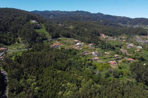 Terra a Gaula, Madeira, Gaula - € 75.000 | Ref: C0216-03327 - foto 9