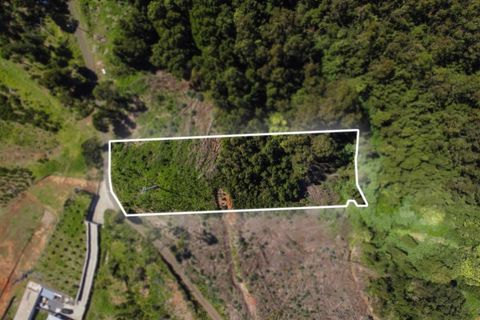 Terra a Gaula, Madeira, Gaula - € 75.000 | Ref: C0216-03327 - foto 10