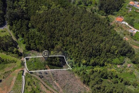 Terra a Gaula, Madeira, Gaula - € 75.000 | Ref: C0216-03327 - foto 11