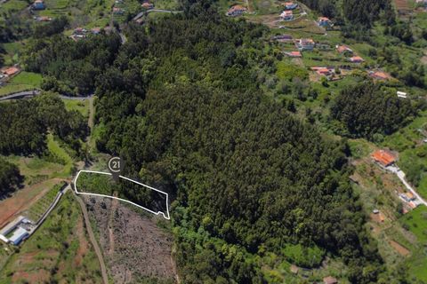 Terra a Gaula, Madeira, Gaula - € 75.000 | Ref: C0216-03327 - foto 12