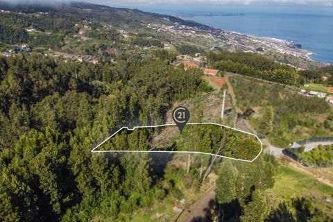 Terra a Gaula, Madeira, Gaula - € 75.000 | Ref: C0216-03327 - foto 13