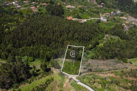 Terra a Gaula, Madeira, Gaula - € 75.000 | Ref: C0216-03327 - foto 14